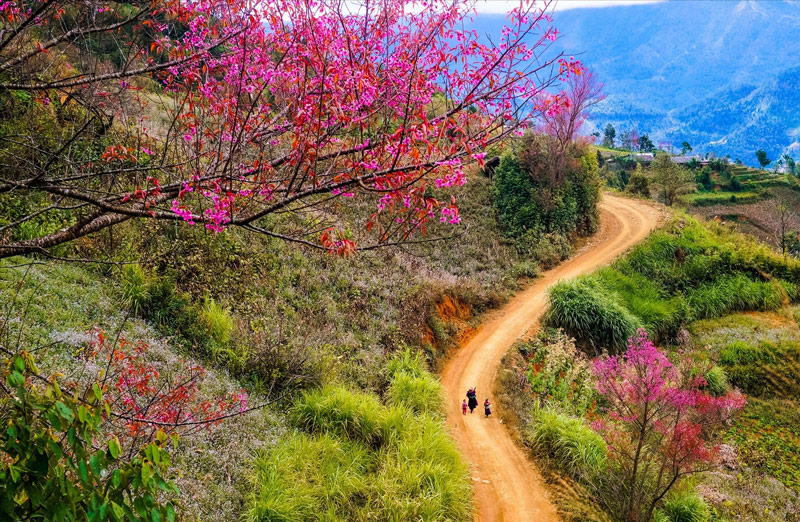 Đi du lịch tây bắc mùa nào đẹp nhất