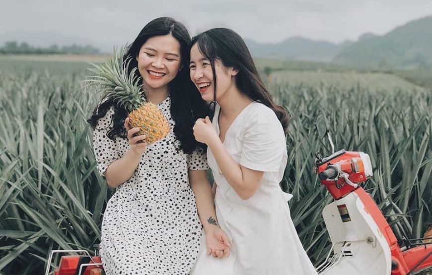 Đồi dứa Tam Điệp