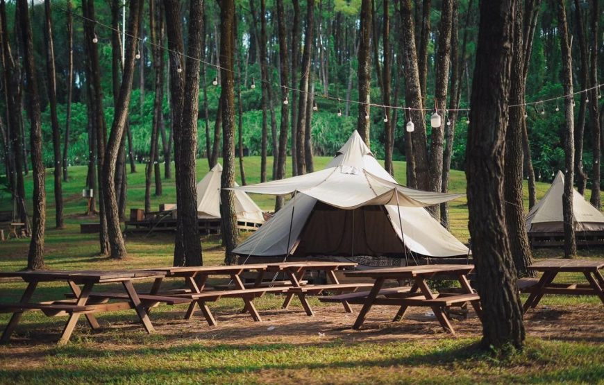 Sunny Camping Ninh Bình (glamptrip)