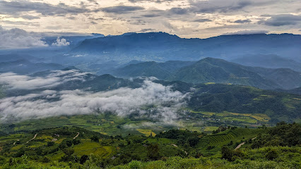 Dù lượn Tam Đường