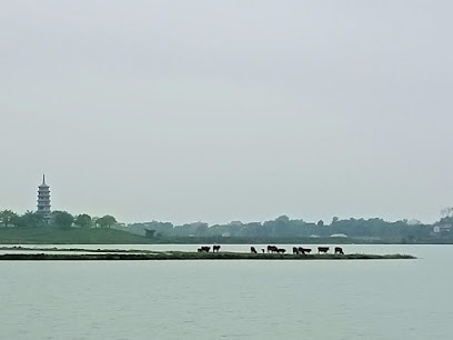 Hồ Đàm Thị
