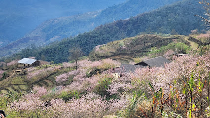 Bản Nhìu Cồ San