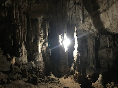 Động Vân Trình
