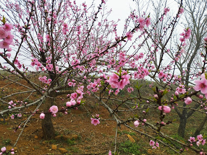 Suối Mường Hoa