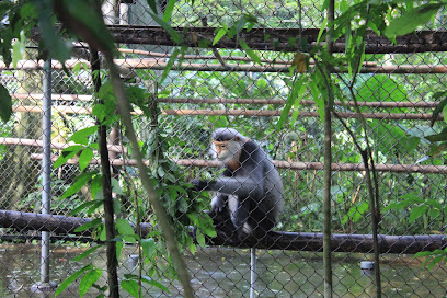 Endangered Primate Rescue Center