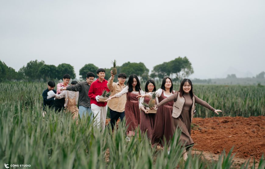 Đồi dứa Tam Điệp
