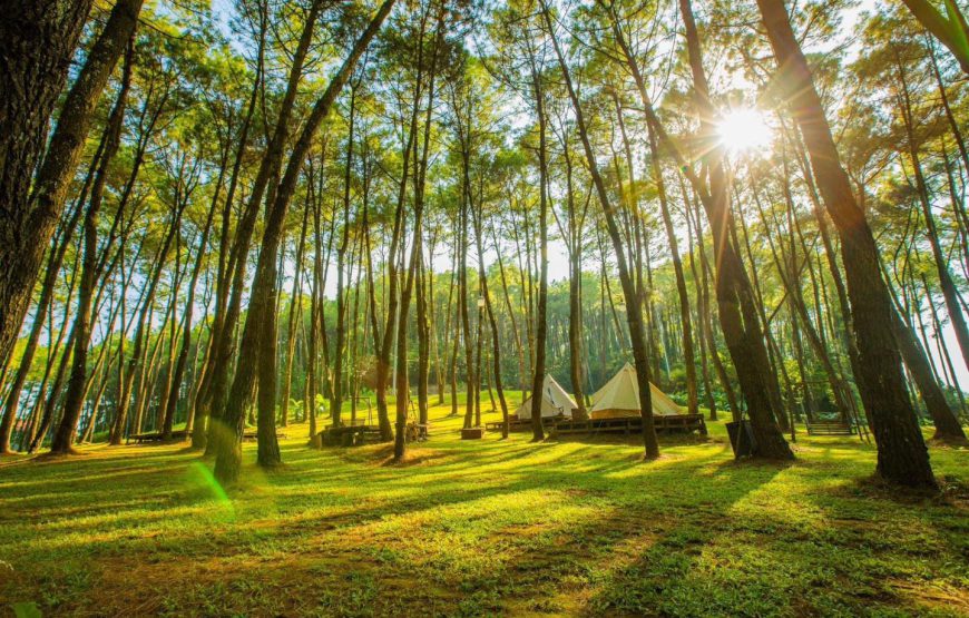 Sunny Camping Ninh Bình (glamptrip)