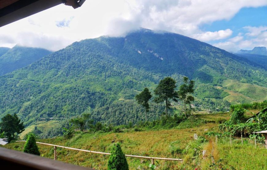 Lee’s Charm Homestay