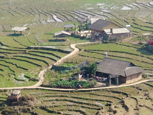 Sapa terraces