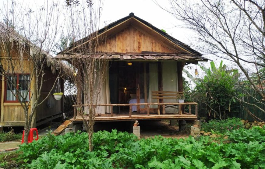 Anh Duc Homestay