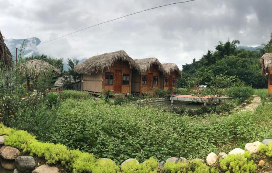 Anh Duc Homestay