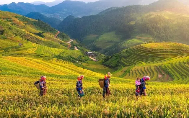 Điểm Du Lịch Yên Bái: Khám Phá Vẻ Đẹp Hoang Sơ & Nét Văn Hóa Độc Đáo