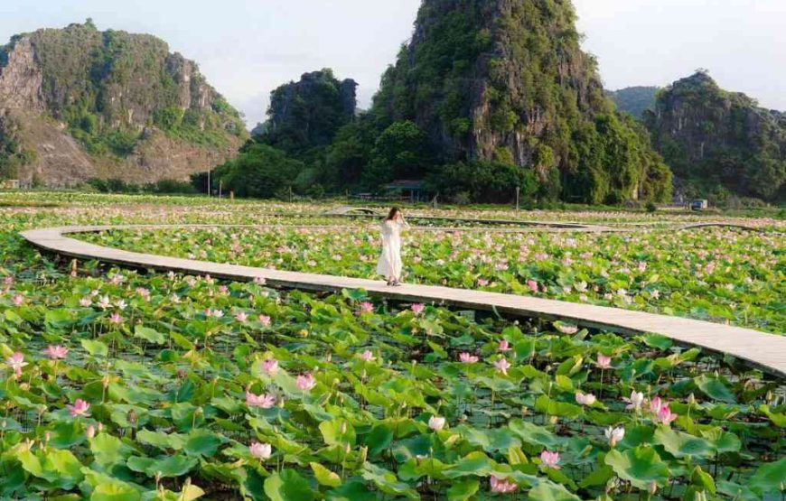 Hang Múa Ninh Binh