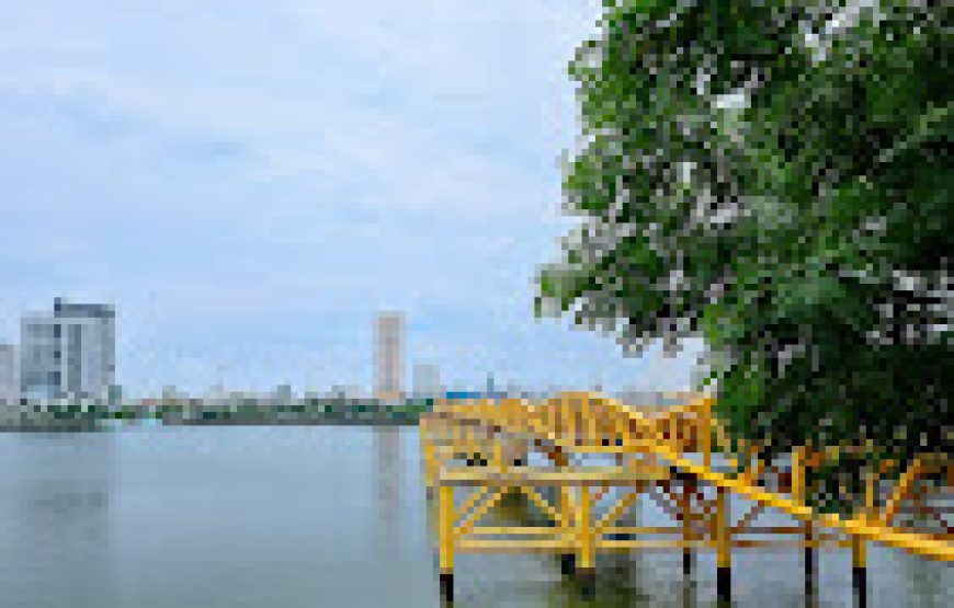 Cầu Trần Thị Lý