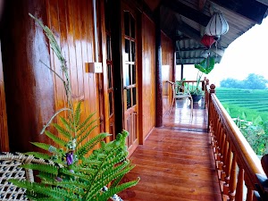 Surelee homestay