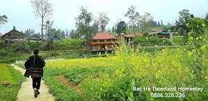 Bac Ha Threeland Homestay