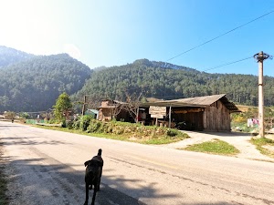 Mu Cang Chai Backpacker hostel - Trek- Vegetarian- Bus