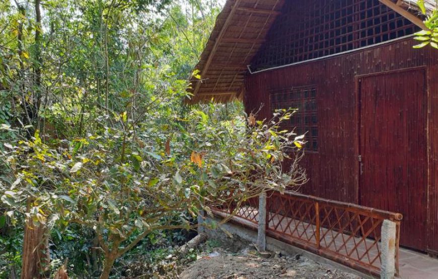 Chau Doc Homestay