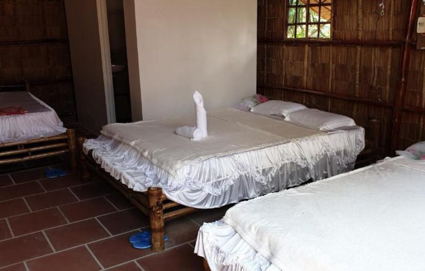 Chau Doc Homestay