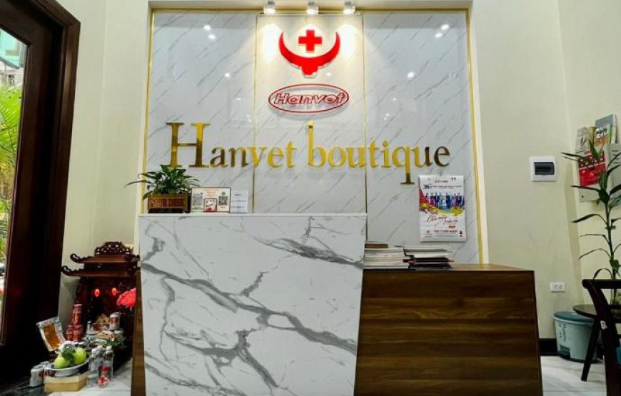 Hanvet Boutique Hotel