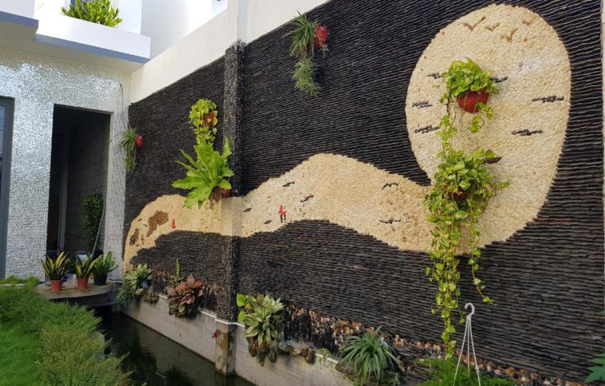 Homestay Villa