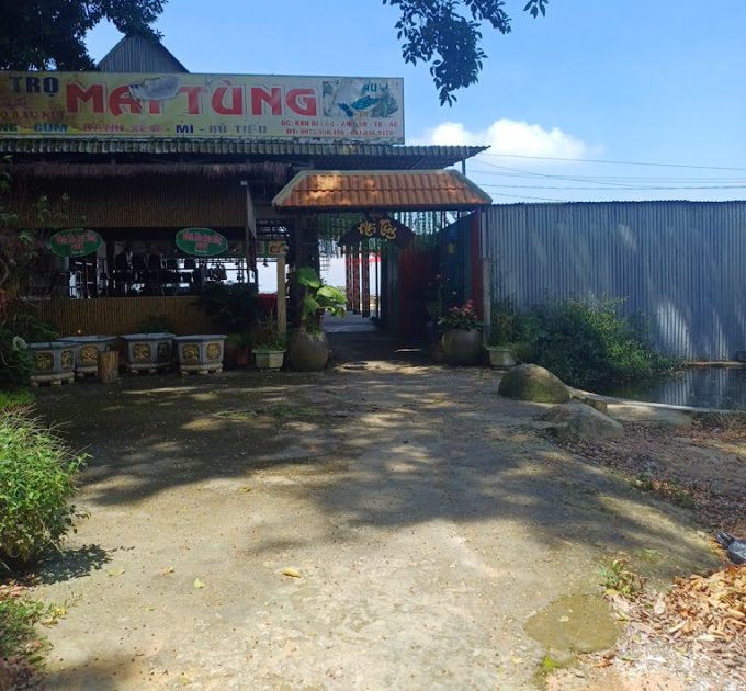 Mai Tùng House – Núi Cấm