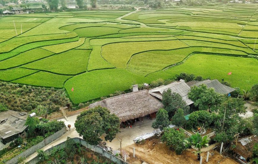 MuongLo Farmstay Yên Bái