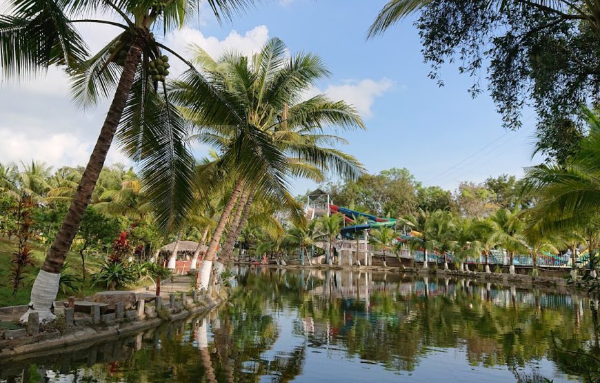 Vạn Hương Mai
