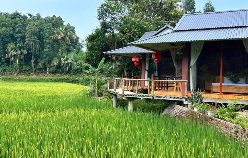 Vu linh homestay ( Nam family homestay )