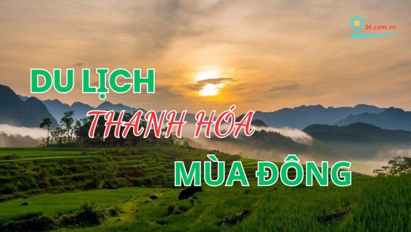 Du lịch Thanh Hóa - Khám Phá Vùng Đất Nhiều Tiềm Năng và Đặc Sắc