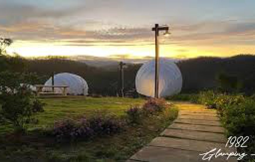 1982 glamping hill