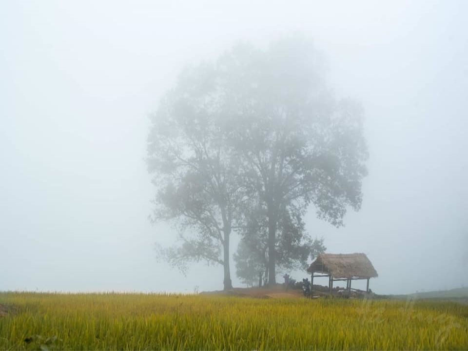 Khám Phá Choản Thèn - Ngôi Làng Trên Mây Đẹp Như Chốn Bồng Lai