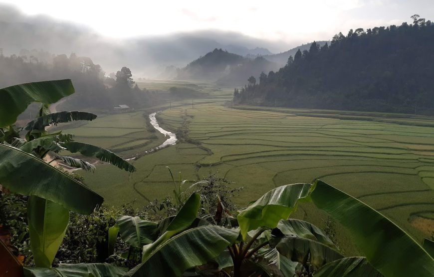 Ruộng bậc thang Mù Cang Chải