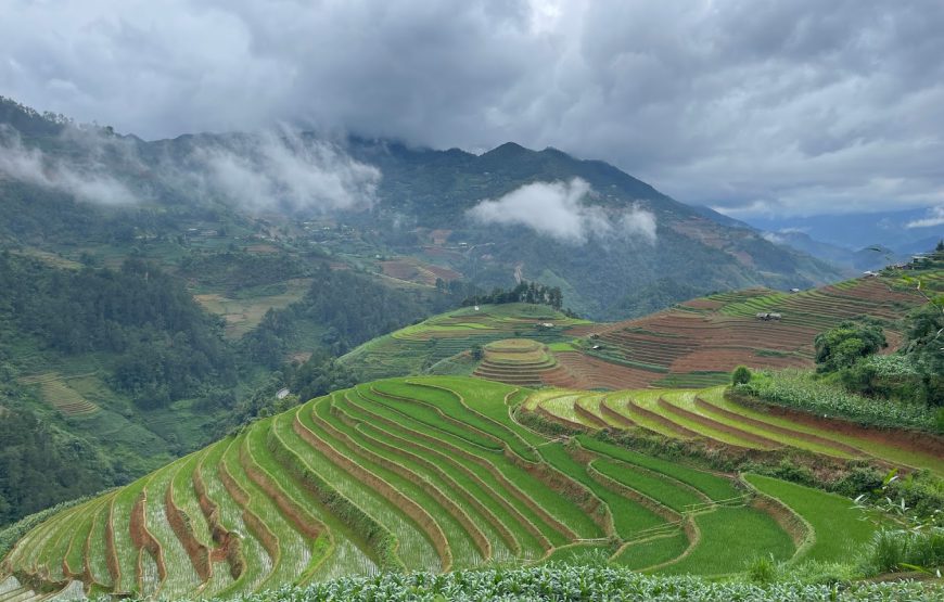 Ruộng bậc thang Mù Cang Chải