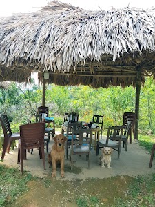 Tình Khau Khang Coffee