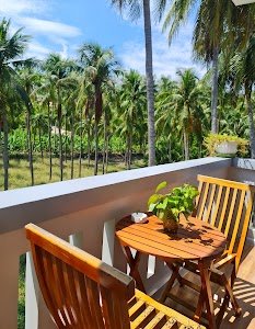 Blue Moon Hotel Mui Ne