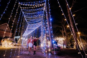 TTC Resort - Đồi Mộng Mơ