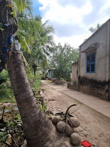 Nam Binh Homestay