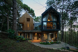 Mơ Stay - Forest Resort