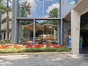 Terracotta Hotel & Resort Dalat