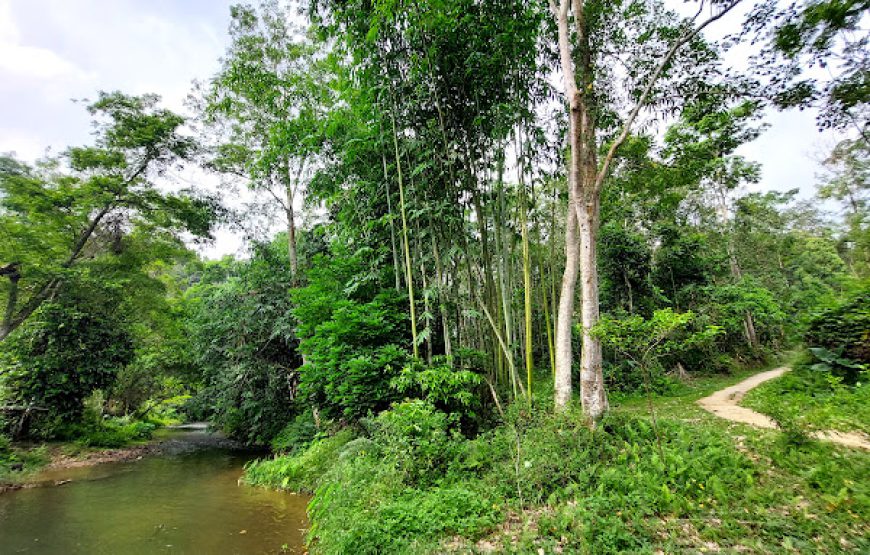 Di Tích Đồi Nà Pậu (An toàn khu Chợ Đồn)