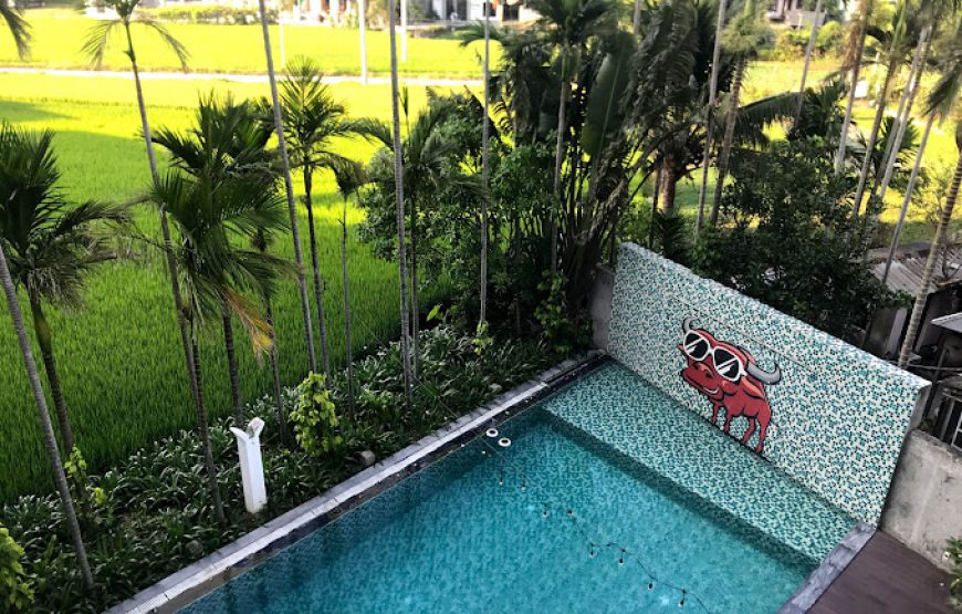 Hoi An Backpackers Hostel