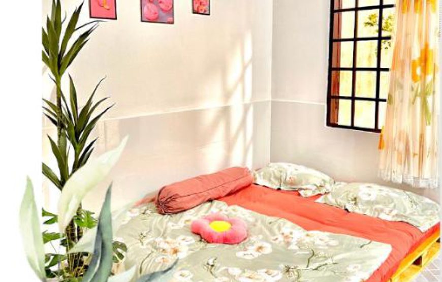 Homestay Yến Hoà