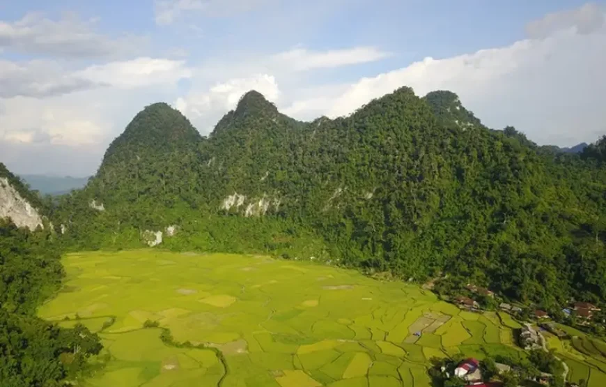 Khu Dự trữ Thiên nhiên Kim Hỷ