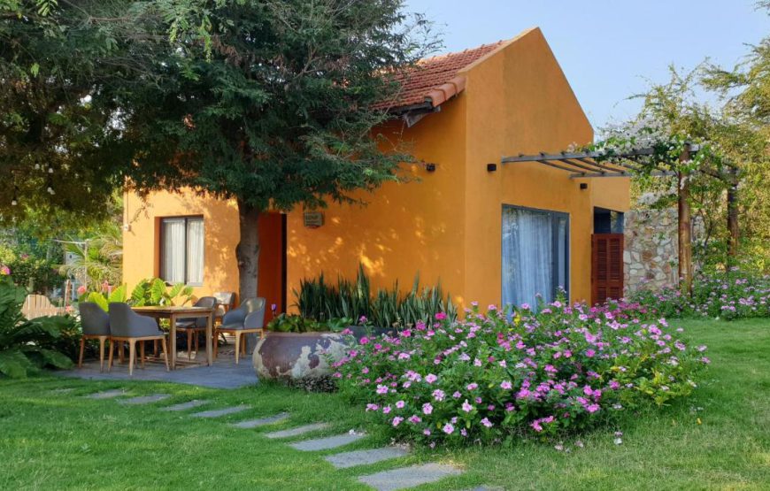 Lotus beach house