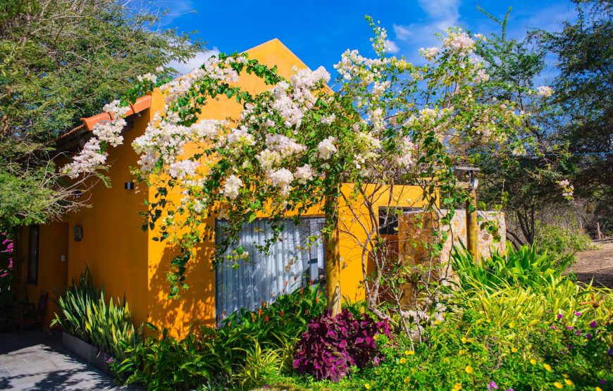 Lotus beach house