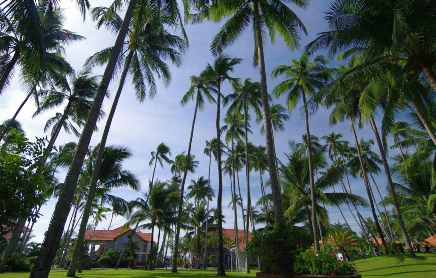 Muine Century Resort & Spa