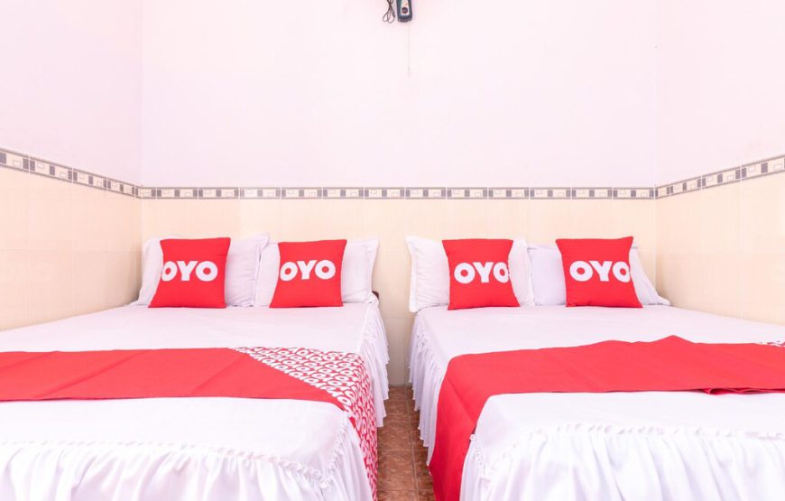 OYO 791 Hoang Anh Hotel