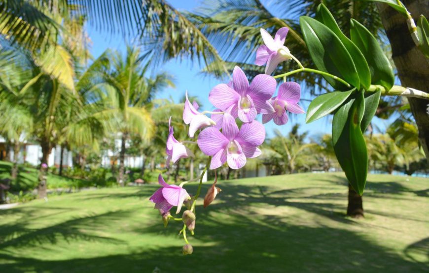 Sonata Resort & Spa