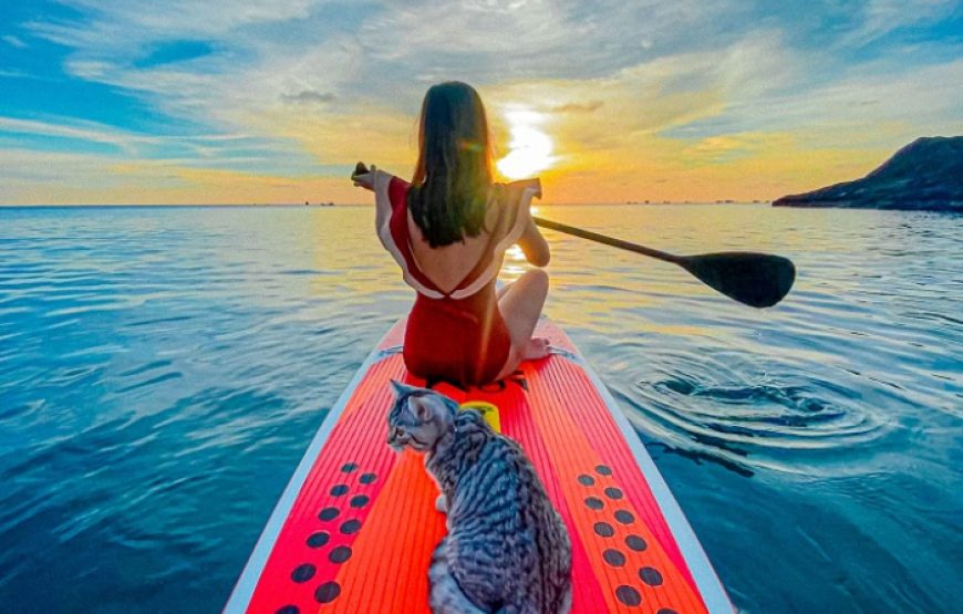 Tour Sup – Lặn Biển Chí Linh Phú Quý